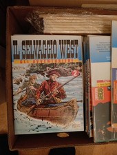 Il Selvaggio West (Storia del