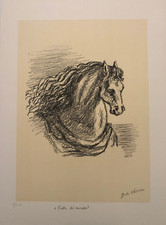 Testa Di Cavallo 1972