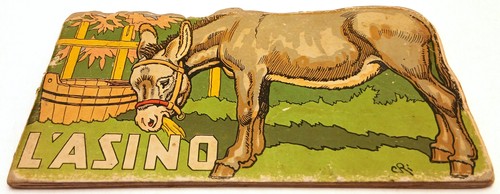Animali domestici asino - animali,