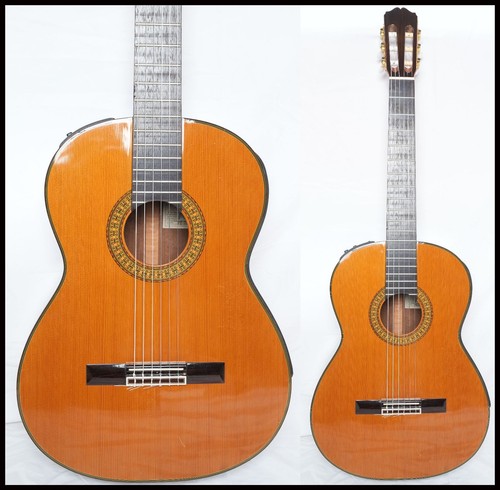 Takamine 307 chitarra - takamine, pt-307