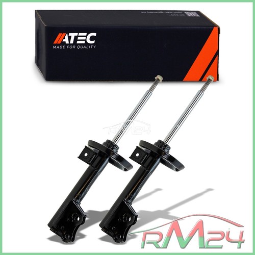 Ammortizzatore gas - 2x,