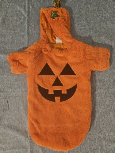 Costume zucca halloween - zucca,