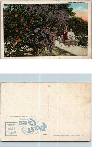 Cartolina epoca dicembre in - dicembre,