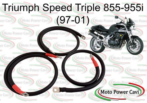 Triumph speed triple 855 - triple, 855/955i