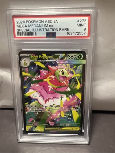 Pokemon tcg mega - mega, ex