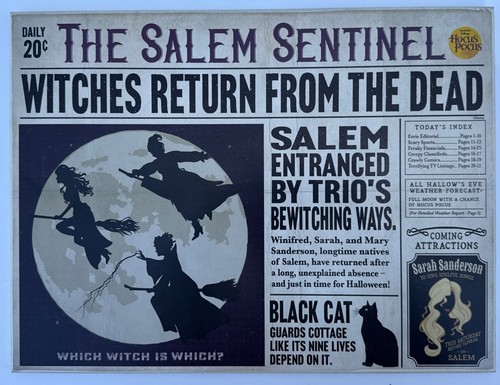 Hocus pocus streghe sanderson - pocus,