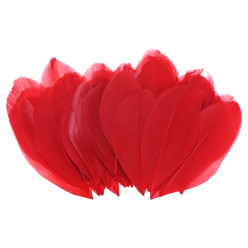 Confezione piume oca - confezione,