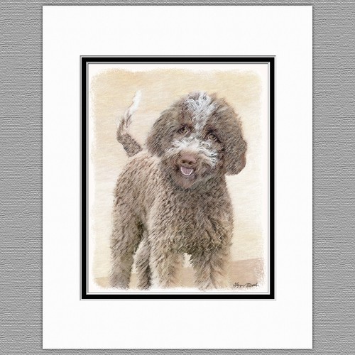 Lagotto romagnolo tartufo cane - romagnolo,