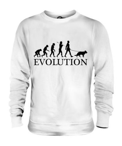 Pastore tedesco evolution - pastore,