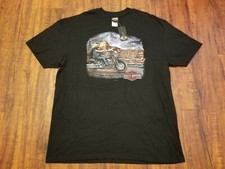 Harley davidson san - san, benito