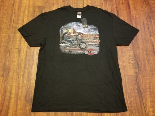 Harley davidson san - davidson,