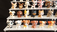 Cani lps molti degli animali - lps,,