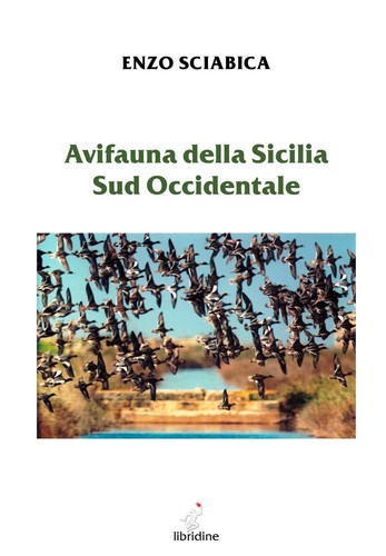 Avifauna della sicilia sud - avifauna,