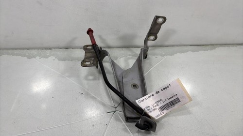 Cerniera cofano nissan micra - cofano,