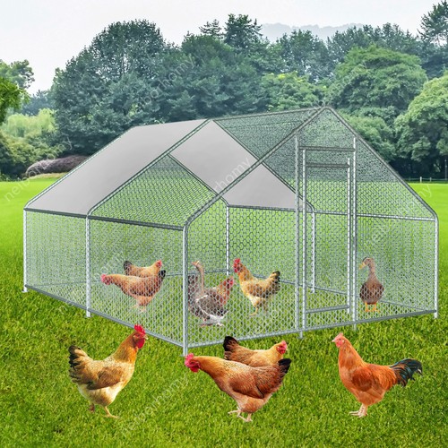 Gabbia per polli - polli, zincata