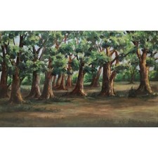 Cafiero Filippelli, bosco