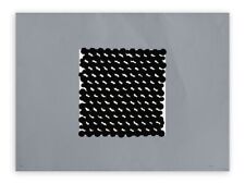 Litografia Gastone Biggi