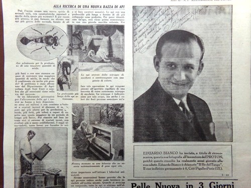 Pagina del 1931 nuova - pagina,