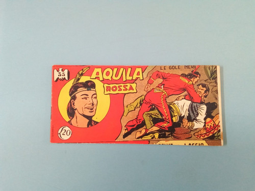 Aquila rossa gole nere - aquila,