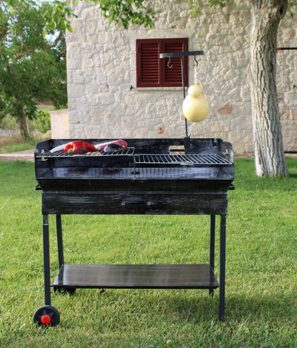 Barbecue legna con griglia - legna,