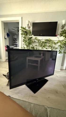 Plasma tv in - plasma,