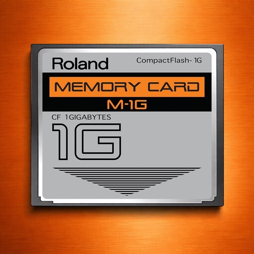 Scheda memoria roland - scheda, di