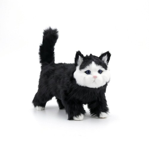 Gatto peluche con - gatto,
