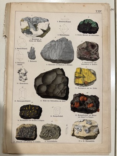 Stampa antica incisione 1888