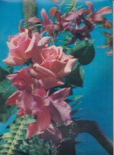 39-7E) CARTOLINA LENTICOLARE