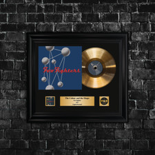 Copia firmata LP vinile - Foo