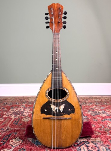 Antico mandolino farfalla - mandolino,