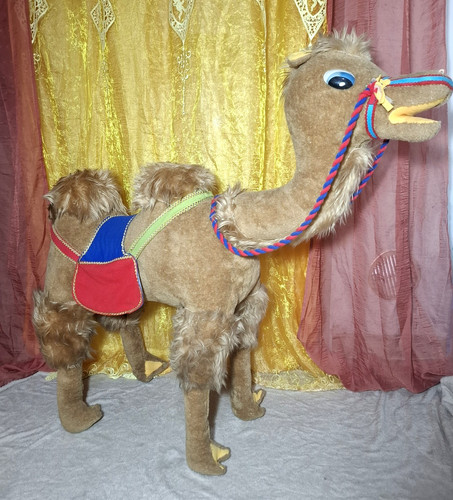 Camel ride plush - ride-on,
