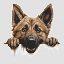 Pastore belga Laekenois cane cucciolo. Punto croce grande, moderno, originale