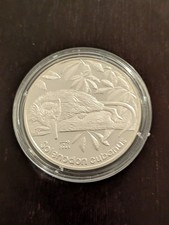 Pesos 2005 fessura - 10, fessura,