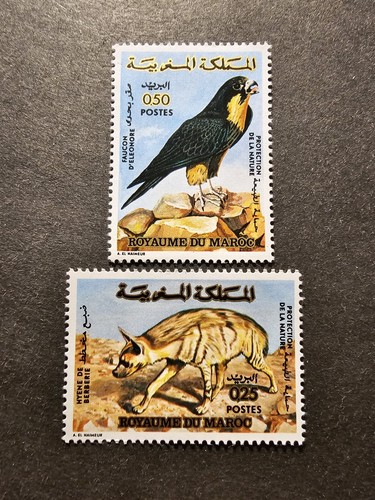 Timbro marocco uccelli iena - timbro,