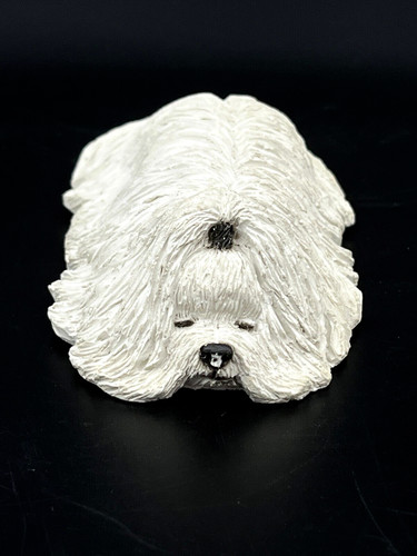 Sandra brue cane - brue,