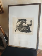 Litografia Francesco Messina 1988 50x70 numerata e firmata cavallo caduto