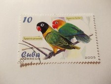 Francobollo: Serie Uccellini: 10 Correos 2005, Agapornis fischeri Agapornis personata