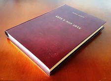FALZONI Giulio, ARTE E NON