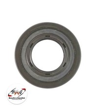 Paraolio albero motore