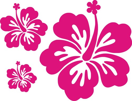 Adesivi murali auto fiore - 20,