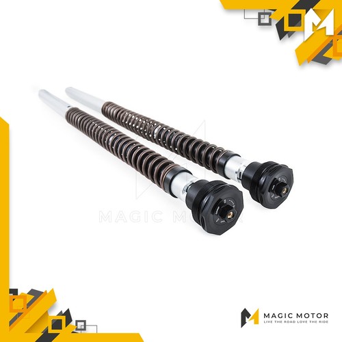 Kit cartucce forcelle moto - kit,