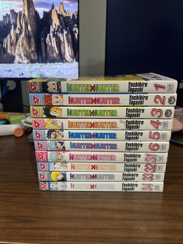 Hunter manga vol - x,