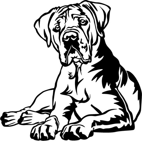 Adesivo dogo argentino - dogo,