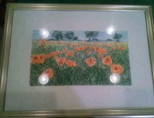 ? Serigrafia Franco Azzinari Papaveri 30 Colori 247/250 Certificata | Art ?