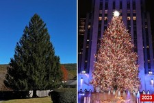 Rockefeller Albero di Natale