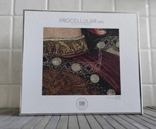 DIBI Milano Face Procellular