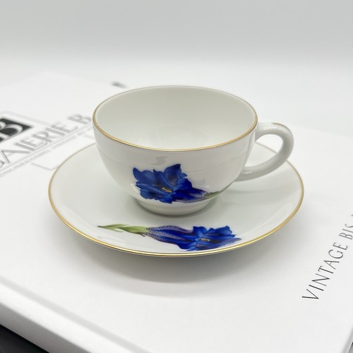 Antica tazza collezione - antica,