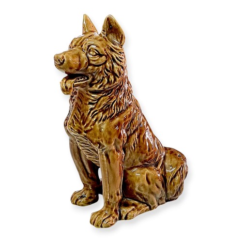 Giapponese hachiko shiba inu - shiba,