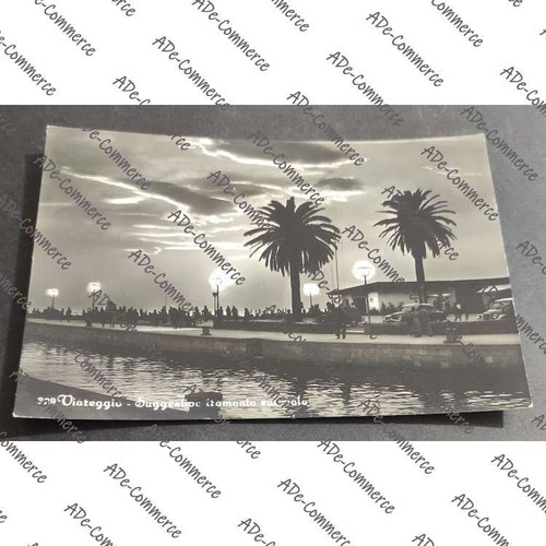 Cartolina viareggio - cartolina,